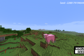 Japanese Style - Minecraft Seeds
